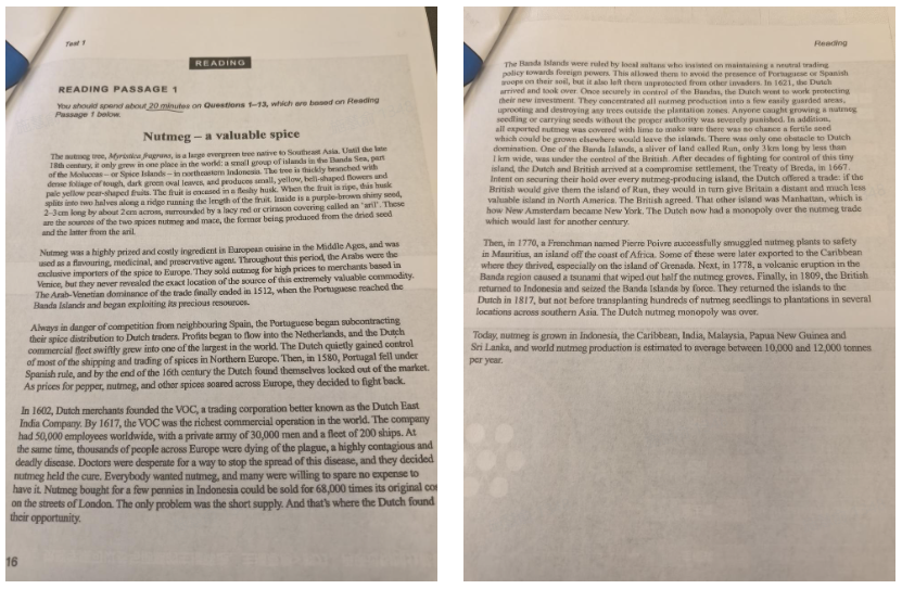 Day 2：做完雅思真题心态崩了，雅思智能体上线